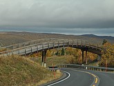 DSC_1500.JPG