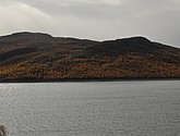 DSC_1512.JPG