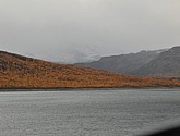 DSC_1513.JPG
