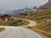 DSC_1515.JPG
