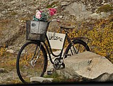 DSC_1516.JPG
