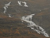 DSC_1521.JPG