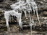 DSC_1524.JPG