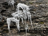 DSC_1525.JPG