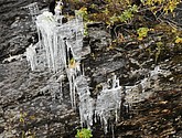 DSC_1526.JPG