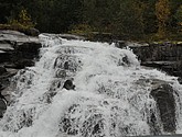 DSC_1531.JPG