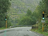 DSC_1542.JPG