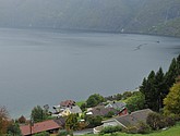 DSC_1548.JPG