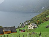 DSC_1549.JPG