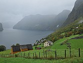 DSC_1550.JPG