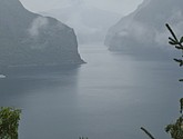 DSC_1552.JPG