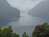 DSC_1553.JPG