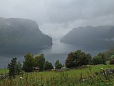 DSC_1554.JPG