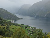 DSC_1555.JPG