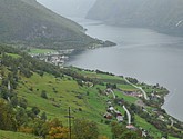 DSC_1560.JPG
