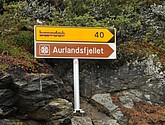 DSC_1563.JPG