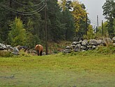 DSC_1566.JPG