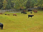 DSC_1567.JPG