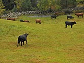 DSC_1568.JPG