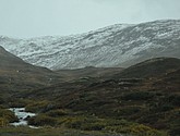 DSC_1571.JPG