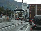 DSC_1572.JPG