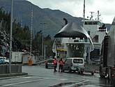 DSC_1573.JPG