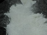 DSC_1582.JPG