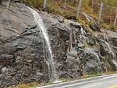 DSC_1592.JPG