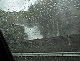 DSC_1594.JPG