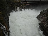 DSC_1599.JPG