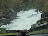 DSC_1602.JPG