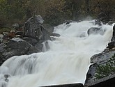 DSC_1603.JPG