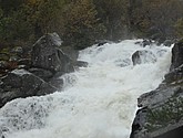 DSC_1606.JPG