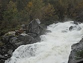 DSC_1607.JPG