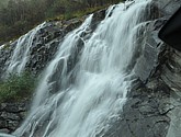 DSC_1608.JPG