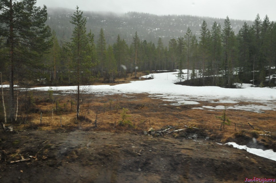 DSC_8665.JPG