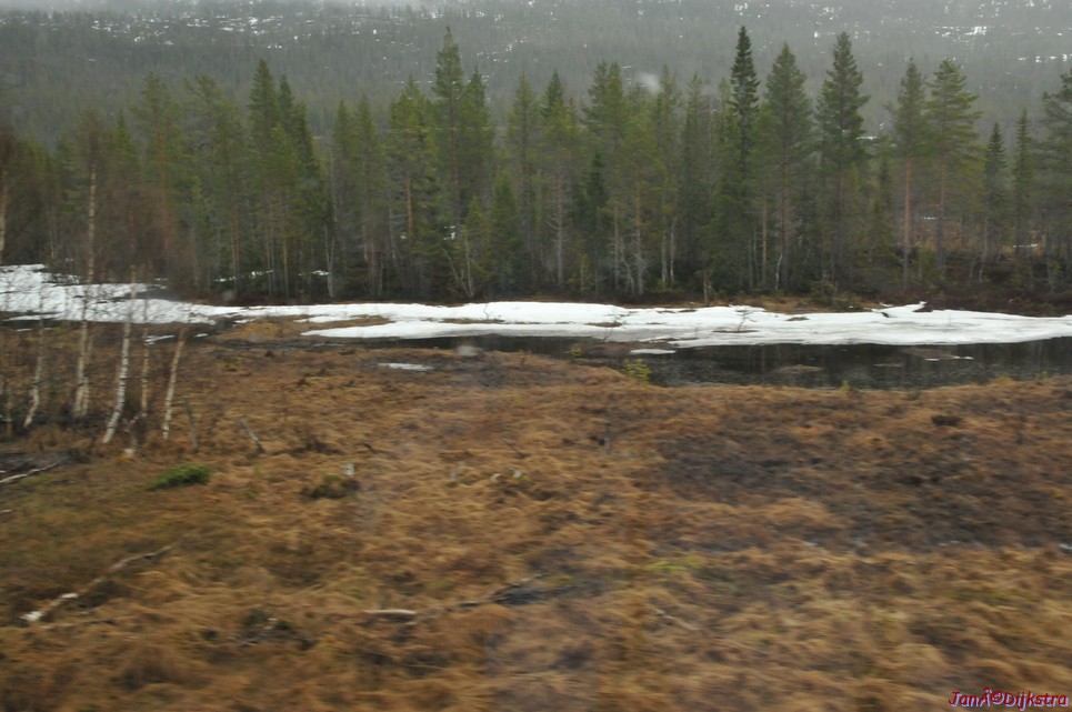 DSC_8666.JPG