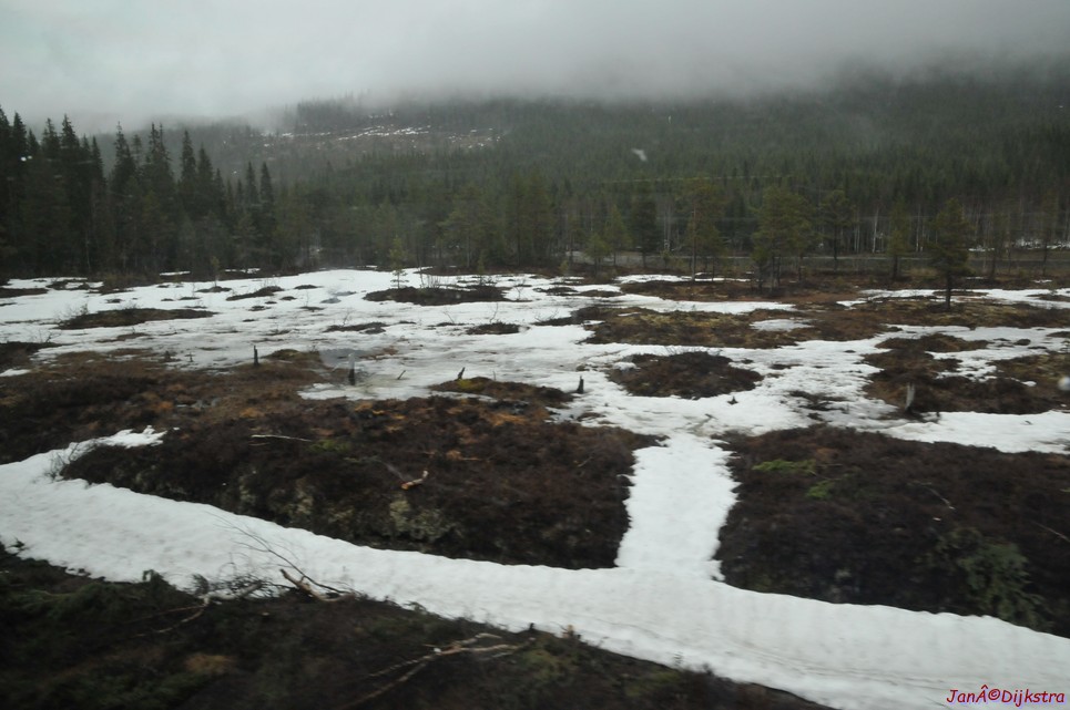 DSC_8668.JPG