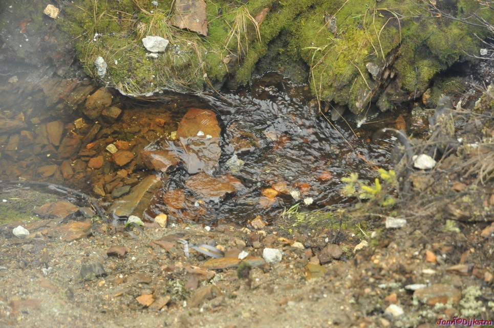 DSC_8675.JPG