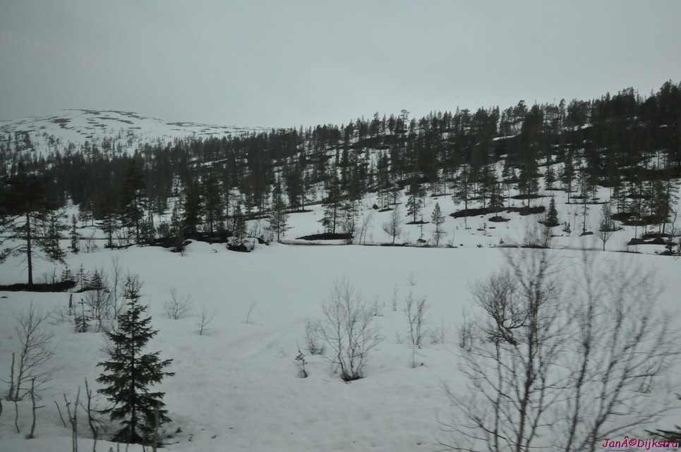 DSC_8678.JPG