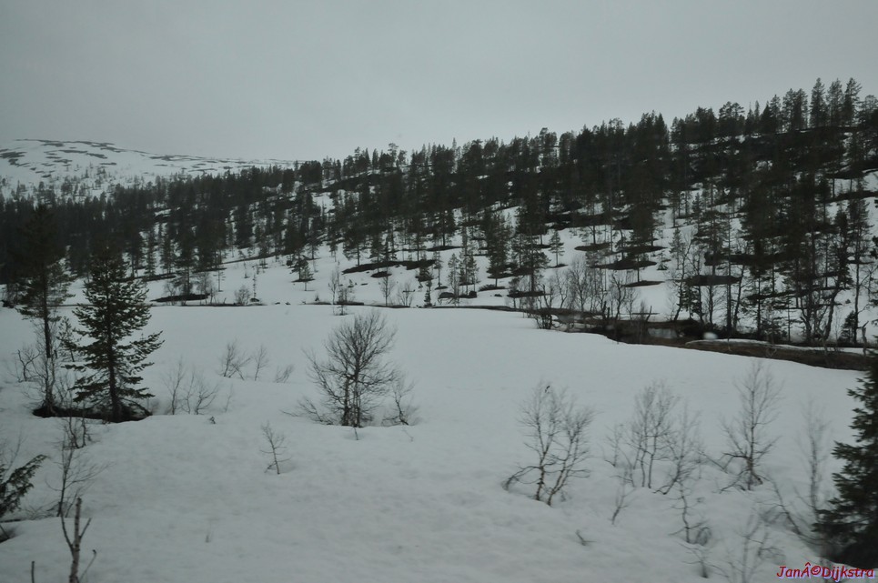 DSC_8679.JPG