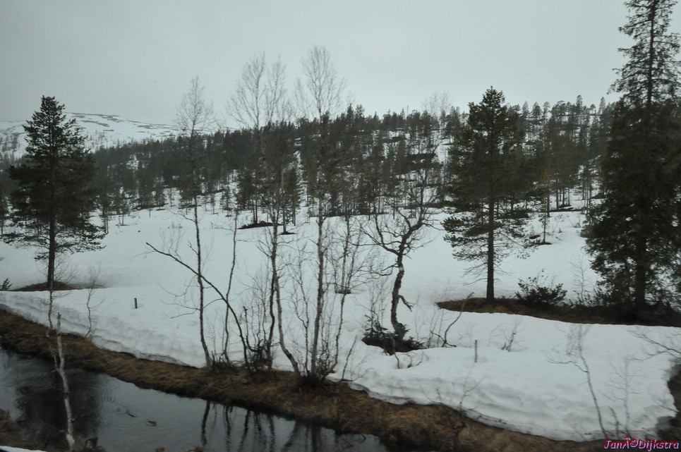 DSC_8680.JPG