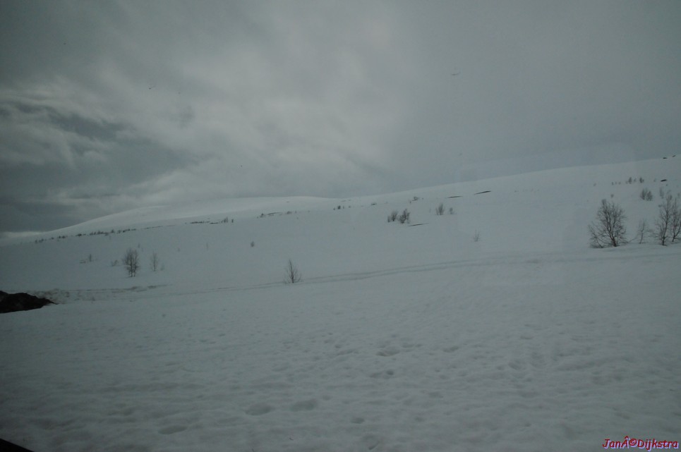 DSC_8688.JPG