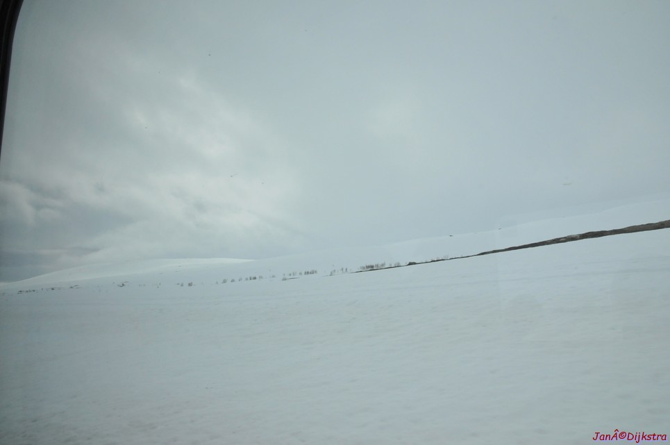 DSC_8689.JPG
