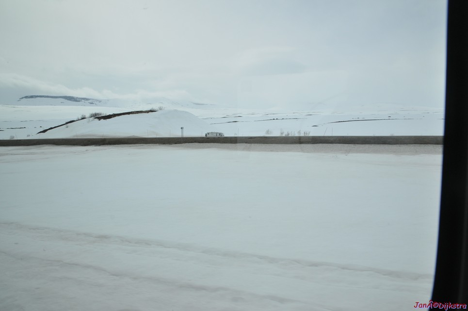 DSC_8690.JPG