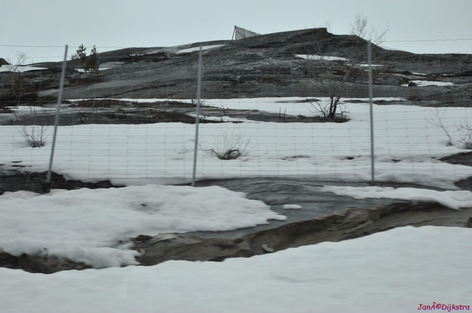 DSC_8696.JPG