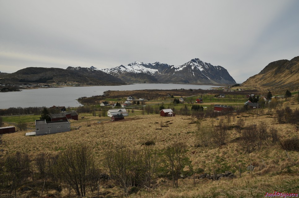 DSC_8736.JPG