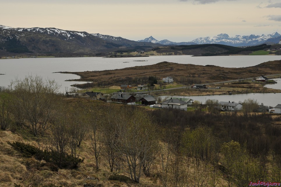 DSC_8740.JPG