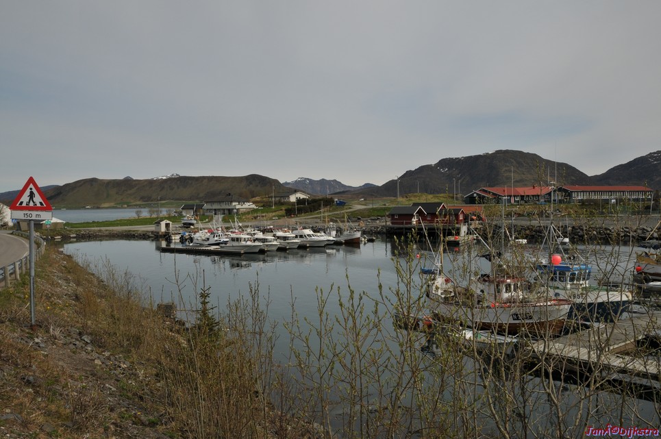 DSC_8753.JPG