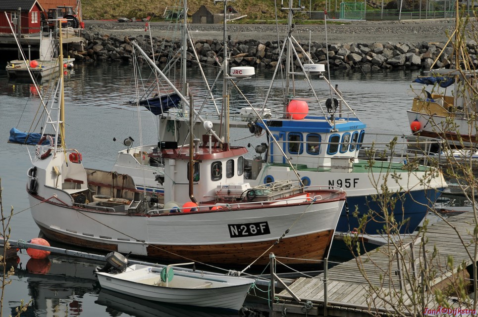DSC_8755.JPG